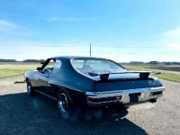 1971 Pontiac GTO for sale in Michigan (ID-126838)