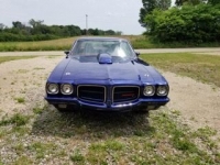 1971 Pontiac LeMans for sale in Michigan (ID-97635)