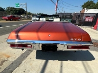 1971 Pontiac LeMans for sale in Michigan (ID-120471)