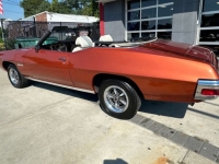 1971 Pontiac LeMans for sale in Michigan (ID-120471)