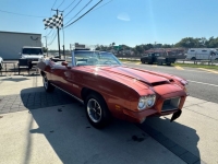 1971 Pontiac LeMans for sale in Michigan (ID-120471)