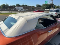 1971 Pontiac LeMans for sale in Michigan (ID-120471)