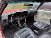 1971 Pontiac LeMans for sale in Michigan (ID-137715)