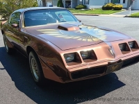 1971 Pontiac Trans Am for sale in Riverhead, New York (ID-164005)