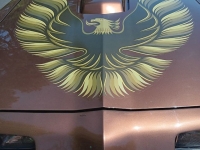 1971 Pontiac Trans Am for sale in Riverhead, New York (ID-164005)