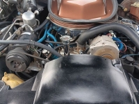 1971 Pontiac Trans Am for sale in Riverhead, New York (ID-164005)