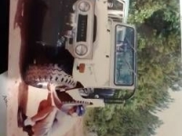 1971 Toyota Land Cruiser for sale in Michigan (ID-161699)