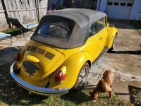 1971 Volkswagen Beetle for sale in Michigan (ID-109106)