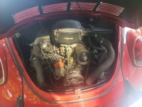 1971 Volkswagen Beetle for sale in Michigan (ID-120236)