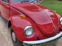 1971 Volkswagen Beetle for sale in Michigan (ID-130118)