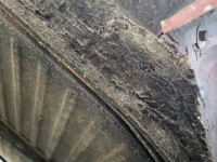 1971 Volkswagen Beetle for sale in Michigan (ID-130118)