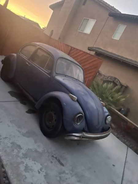 1971 Volkswagen Beetle for sale in Michigan (ID-131440) 1971 Volkswagen Beetle for sale in Michigan (ID-131440)