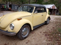 1971 Volkswagen Beetle for sale (ID-134546)