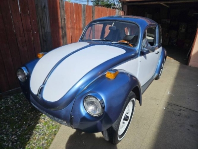 1971 Volkswagen Beetle for sale in Michigan
