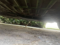 1971 Volkswagen Karmann Ghia for sale in Michigan (ID-122308)