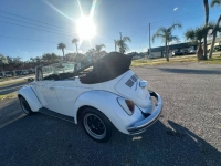 1971 Volkswagen Super Beetle for sale in Michigan (ID-136564)