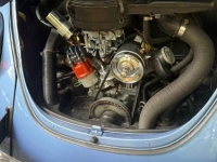 1971 Volkswagen Super Beetle for sale in Michigan (ID-146187)