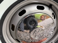 1971 Volkswagen Super Beetle for sale in Michigan (ID-146187)