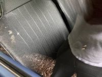 1971 Volkswagen Super Beetle for sale in Michigan (ID-146187)