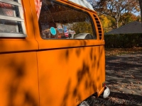 1971 Volkswagen Westfalia for sale in Riverhead, New York (ID-135211)