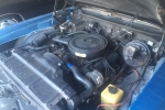 1972 Oldsmobile 442 for sale in Warner Robins, Georgia (ID-32428)