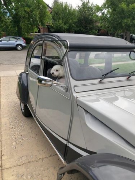 1972 Citroen 2CV for sale in Michigan (ID-89957) 1972 Citroen 2CV for sale in Michigan (ID-89957)