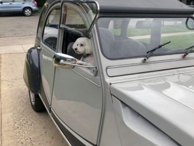 1972 Citroen 2CV for sale