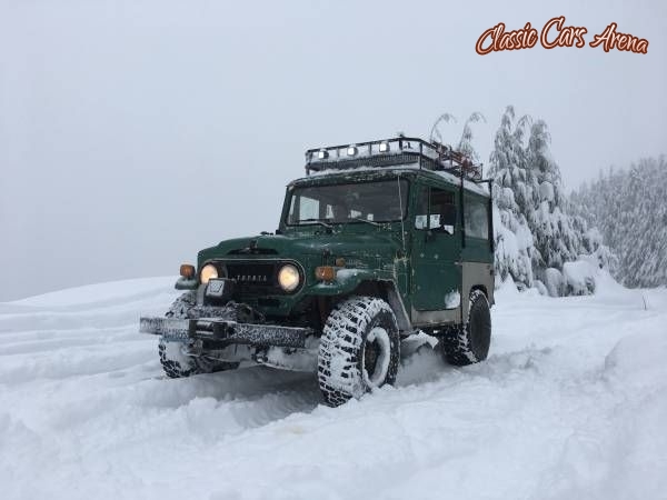 1972 Toyota FJ40 for sale in Michigan (ID-18049)