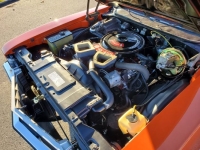 1972 Buick GS for sale in Michigan (ID-141308)