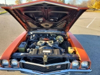 1972 Buick GS for sale in Michigan (ID-141308)