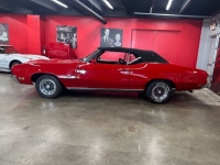 1972 Buick GS for sale in Michigan (ID-164220)