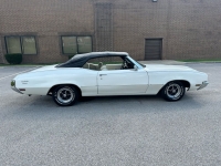 1972 Buick Skylark for sale in Addison, Illinois (ID-121209)