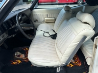 1972 Buick Skylark for sale in Addison, Illinois (ID-121209)