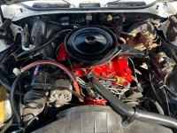 1972 Buick Skylark for sale in Addison, Illinois (ID-121209)