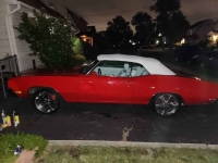 1972 Buick Skylark for sale in Michigan (ID-121785)