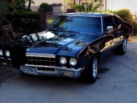 1972 Buick Skylark for sale in Michigan (ID-121966)
