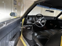 1972 Buick Skylark for sale in Michigan (ID-123998)