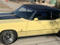1972 Buick Skylark for sale in Michigan (ID-123998)