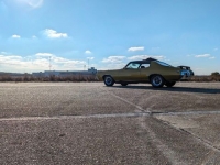 1972 Buick Skylark for sale in Riverhead, New York (ID-124082)
