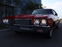 1972 Buick Skylark for sale in Michigan (ID-128545)
