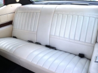 1972 Buick Skylark for sale in Michigan (ID-128545)