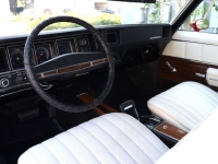 1972 Buick Skylark for sale in Michigan (ID-128545)