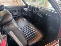 1972 Buick Skylark for sale in Michigan (ID-139730)