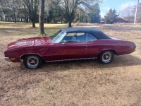 1972 Buick Skylark for sale in Michigan (ID-139730)