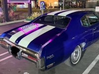 1972 Buick Skylark for sale in Michigan (ID-162771)