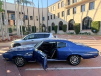 1972 Buick Skylark for sale in Michigan (ID-162771)