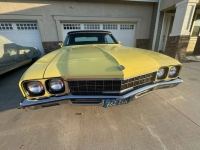 1972 Buick Skylark for sale in Michigan (ID-163119)