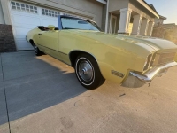 1972 Buick Skylark for sale in Michigan (ID-163119)