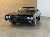 1972 Buick Skylark for sale in Michigan (ID-164319)