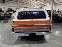 1972 Chevrolet Blazer for sale in Michigan (ID-161869)